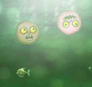 Thumpies in the Living Ocean