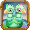 Young Quibble Portrait