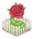 Любопытный сорт