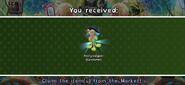 Discovery Screen (Festyvalgoer)
