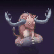 Rare Flum Ox