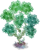 WaterTreeLarge