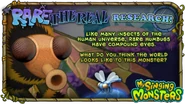 Rarethereal Research