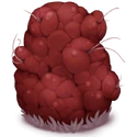 Big Rock (Magical Sanctum)
