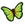 Thumpies Green Butterfly Icon