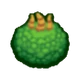 Oaktopus (Composer Egg)
