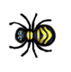 BTRSpider