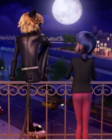 Marinette Y Chat Noir Mysterious Girl131 Wiki Fandom Together, they fight to protect paris against the mysterious villain hawk moth. marinette y chat noir