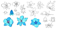 Vivi flower concept 1