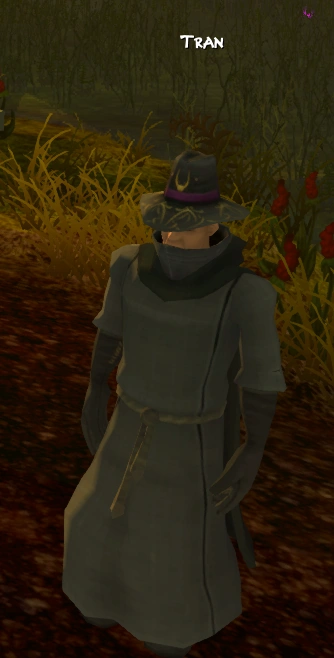 Tran | Villagers and Heroes Reborn – Wiki | Fandom