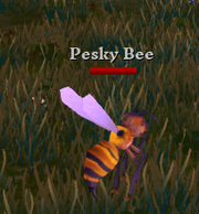 Pesky bee