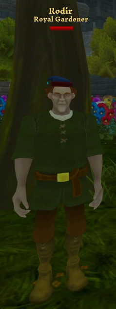Rodir | Villagers and Heroes Reborn – Wiki | Fandom