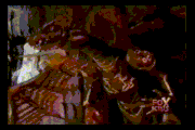 Pyre Fire1.gif