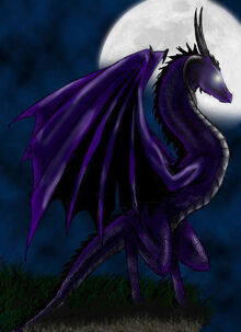 VIOLET DRAGON