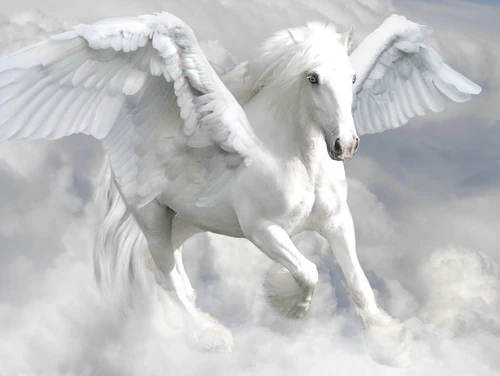 Pegasus