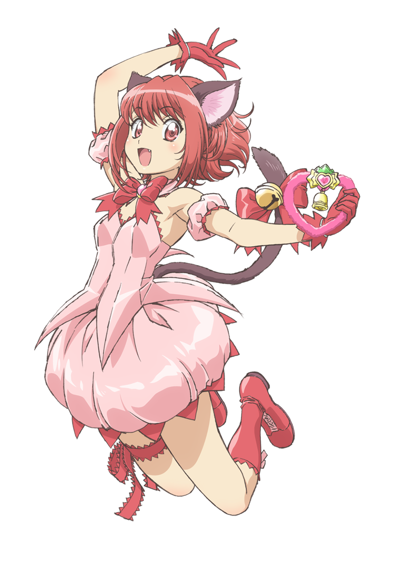 Retasu Midorikawa, Tokyo Mew Mew Wiki