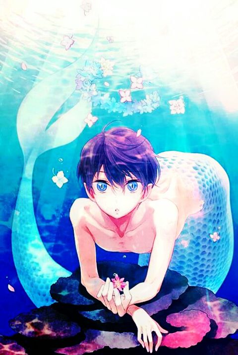 10 Best Anime Mermaids, Ranked