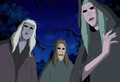 Gray Sisters