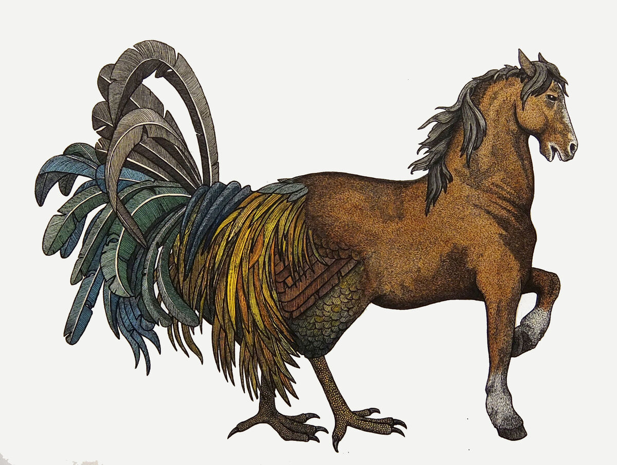 Гиппалектрион | Mythological Creations | Fandom