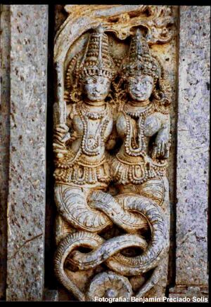 Nagas