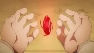 Philosopher's Stone in Fullmetal Alchemist