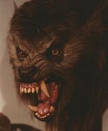 David from An American Werewolf in London (1981)