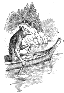Coyoteinacanoe