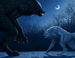 “Werewolf Battle”, an entry by Myenia for The Werewolf Calendar