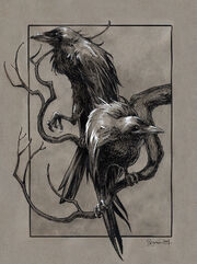 Huginn and Muninn