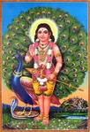 Murugan/Kartikeya