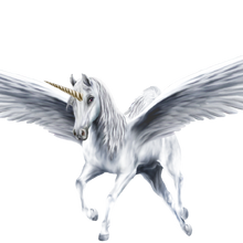 Winged Unicorn Mythology Wiki Fandom A winged unicorn (or flying unicorn also known as alicorn, alaricorn and unipegasus) is a fictional horse with wings and a horn, and may be a variant from either the more well known pegasus, and/or unicorn. winged unicorn mythology wiki fandom