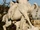 Centaur1.jpg
