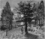 Sigrún waiting.jpg (23 KB) Sigrún waiting by Helgi's barrow.