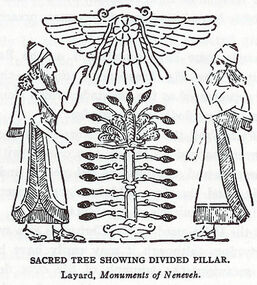 Celtic sacred trees - Wikipedia