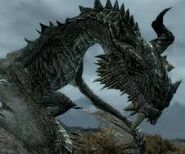 Paarthurnax; a dragon from The Elder Scrolls V: Skyrim