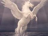 Winged unicorn