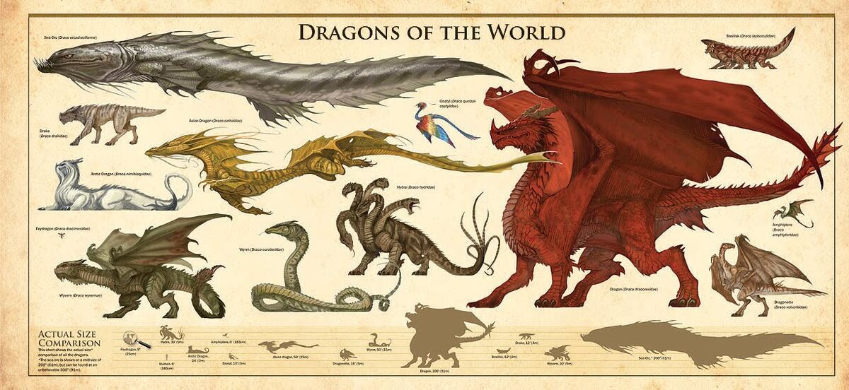 User blogTragould/Dragon Family Myth and Folklore Wiki Fandom