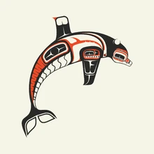 Haida Porpoise by Brian Webb