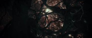 The Mirkwood from The Hobbit: The Desolation of Smaug