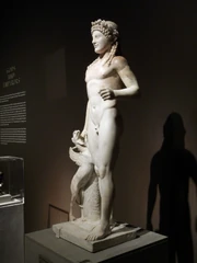 A statue of the god Apollo with a Griffin by his side from the Roman city of Pompeii, which was destroyed by a volcano in 79 CE.