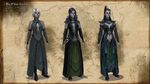 Dark Elves also known as Dunmer from the Elder Scrolls series.