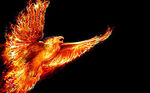 Pheonix