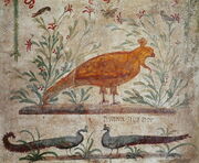 Phoenix Pompeii Roman Wall Painting