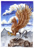 Hippogriff 8