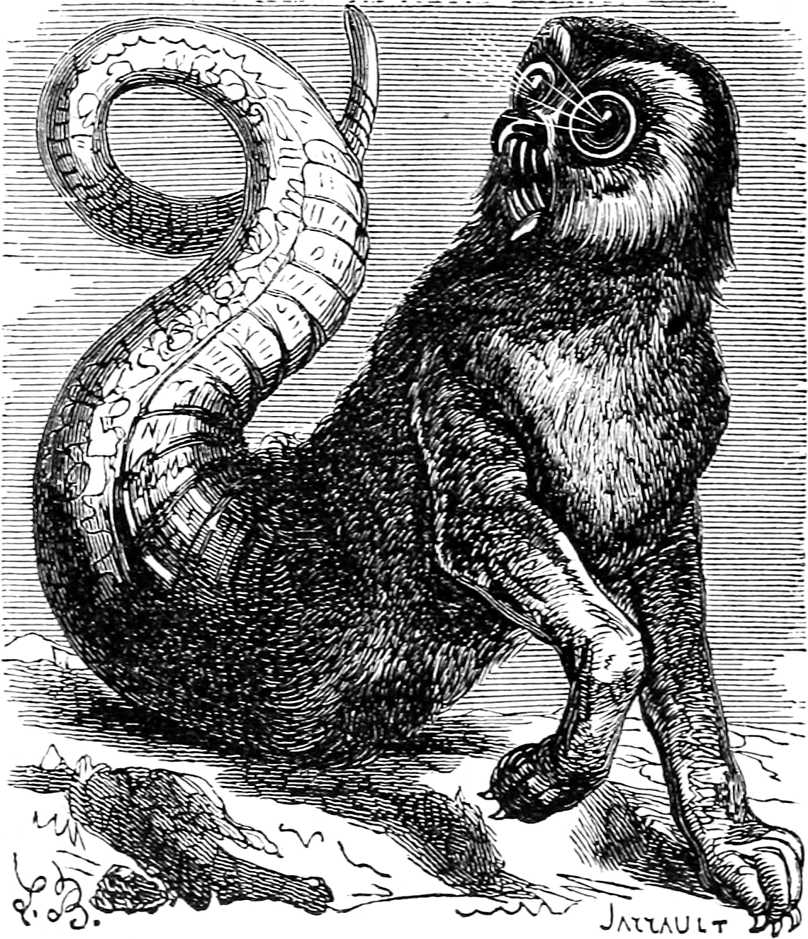 Amon | Mythology wiki | Fandom