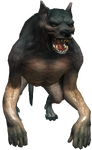 Bestiary Werewolf full