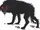 Black Shuck