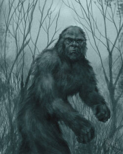 Bigfoot Sasquatch Evidence - 2nd Edition By Grover S Krantz