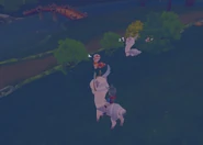 Sleeping Llamas