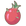 Cactus Fruit